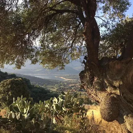 Confortable Avec Vue Sur Le Port Appartement Santa-Reparata-di-Balagna