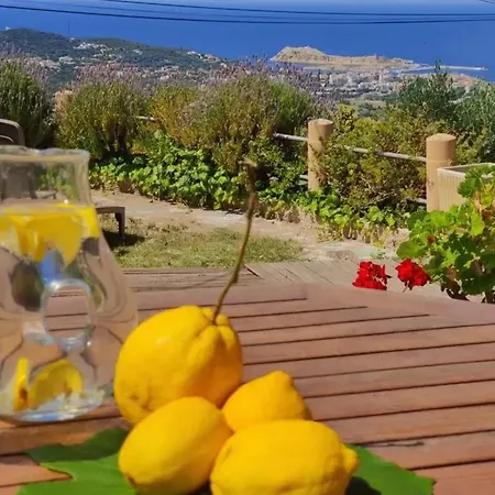 Confortable Avec Vue Sur Le Port Διαμέρισμα *