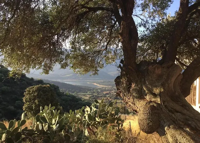 Confortable Avec Vue Sur Le Port Apartmán Santa-Reparata-di-Balagna